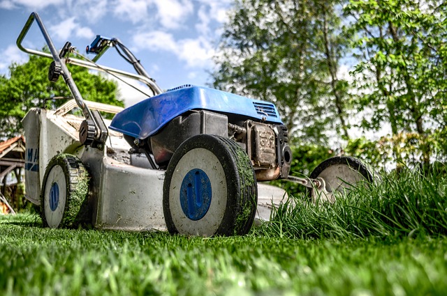 Come ridare vita al tuo giardino